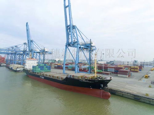 廣州南沙區物流 南沙區貨運 廣州南沙港集裝箱運輸