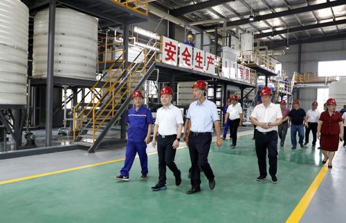 湖南永澤冶金與永晟福科技新廠竣工投產，并深化教育咨詢服務，開啟產業與人才協同發展新篇章